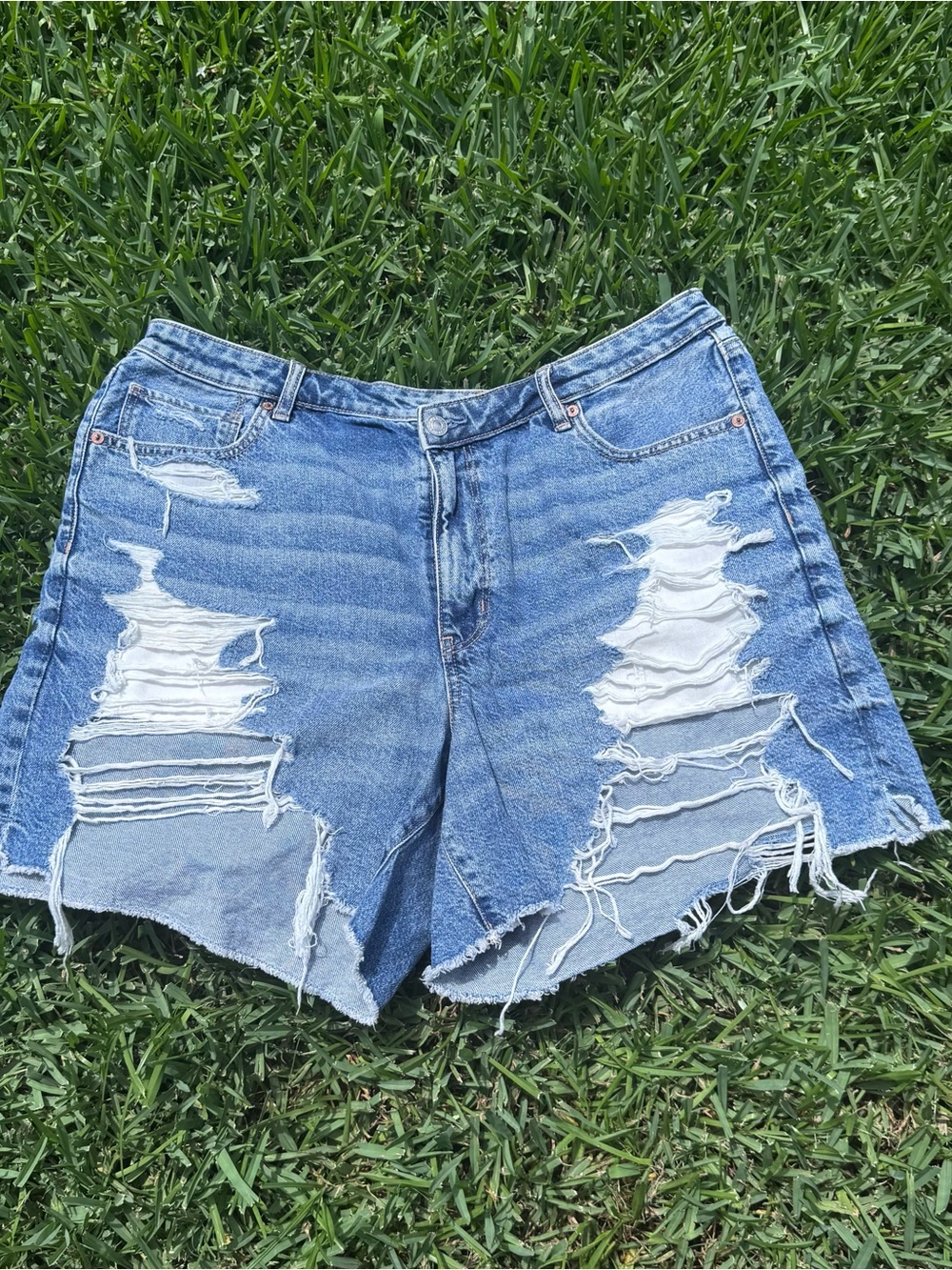 American Eagle Outfitters Light Blue Distressed Denim Shorts
